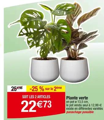 Promotion Exclusives de 14
Verte : Découvrez l'Offre incontournable