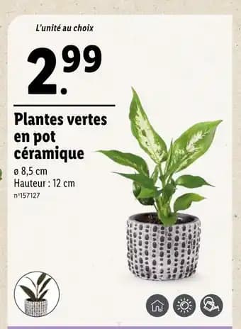 Promotion Exclusives de 7
Plantes : Découvrez l'Offre incontournable
