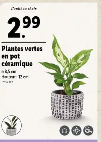 Promotion Exclusives de 8
Plantes : Découvrez l'Offre incontournable