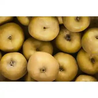 Promotion Exclusives de 75
            
        
        Pomme : Découvrez l'Offre incontournable