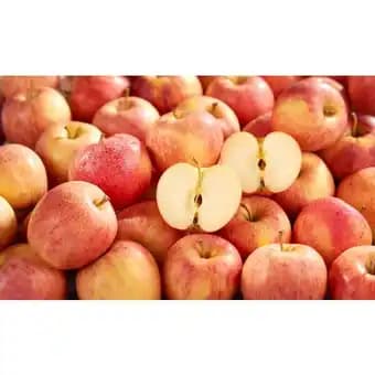 Promotion Exclusives de 1
            
        
        Pomme gala : Découvrez l'Offre incontournable