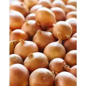 Promotion Exclusives de 30
Jaune : Découvrez l'Offre incontournable