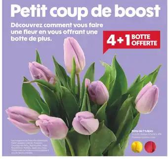 Promotion Exclusives de 3
Botte : Découvrez l'Offre incontournable