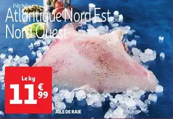 Promotion Exclusives de 5
Aile de raie : Découvrez l'Offre incontournable