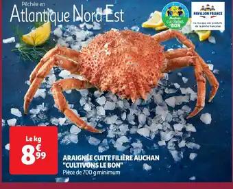 Promotion Exclusives de 22
Cuite : Découvrez l'Offre incontournable