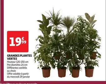 Promotion Exclusives de 9
Plantes vertes : Découvrez l'Offre incontournable