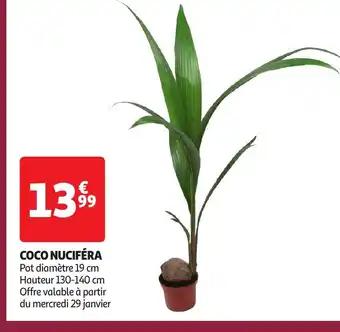 Promotion Exclusives de 85
Coco : Découvrez l'Offre incontournable