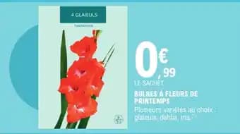 Promotion Exclusives de 18
Fleurs de : Découvrez l'Offre incontournable