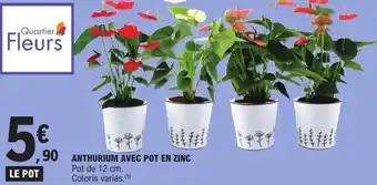 Anthurium avec pot en zinc