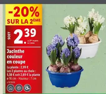 Promotion Exclusives de 6
Couleur : Découvrez l'Offre incontournable
