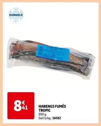 Promotion Exclusives de 3
Harengs fumés : Découvrez l'Offre incontournable