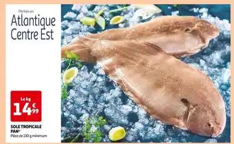 Promotion Exclusives de 2
Sole : Découvrez l'Offre incontournable