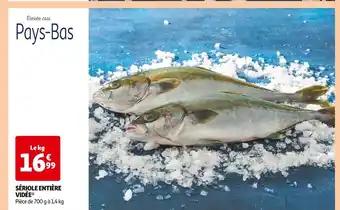 Promotion Exclusives de 14
Entière : Découvrez l'Offre incontournable