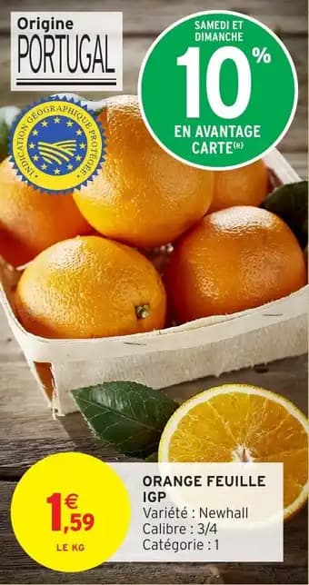 Promotion Exclusives de 76
Igp : Découvrez l'Offre incontournable