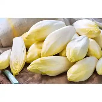 Promotion Exclusives de 3
Endive : Découvrez l'Offre incontournable