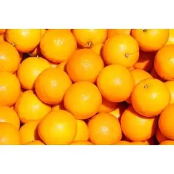 Promotion Exclusives de 51
Dessert : Découvrez l'Offre incontournable