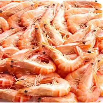 Promotion Exclusives de 15
Cuite : Découvrez l'Offre incontournable