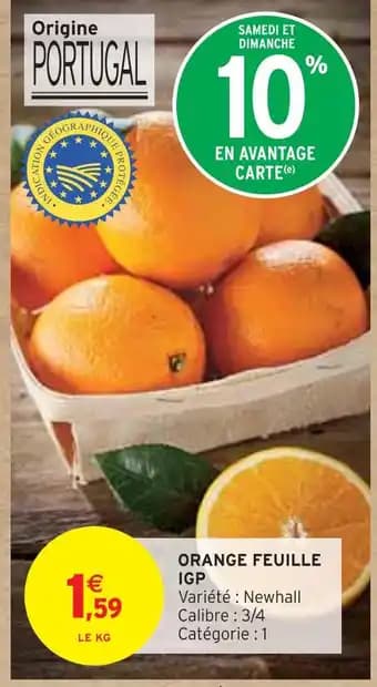 Promotion Exclusives de 15
Feuille : Découvrez l'Offre incontournable