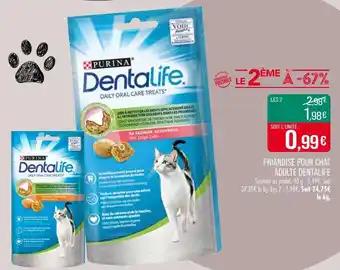 Promotion Exclusives de 20
Oral : Découvrez l'Offre incontournable