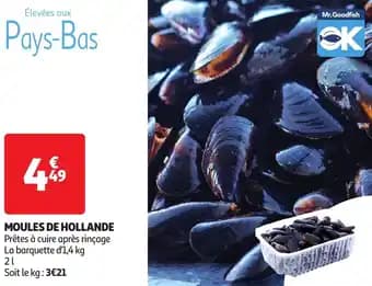 Promotion Exclusives de 1
Moules de hollande : Découvrez l'Offre incontournable