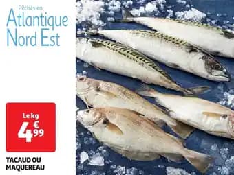 Promotion Exclusives de 2
Maquereau : Découvrez l'Offre incontournable
