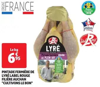 Promotion Exclusives de 4
Pintade : Découvrez l'Offre incontournable
