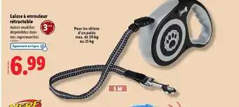 Promotion Exclusives de 2
Laisse : Découvrez l'Offre incontournable