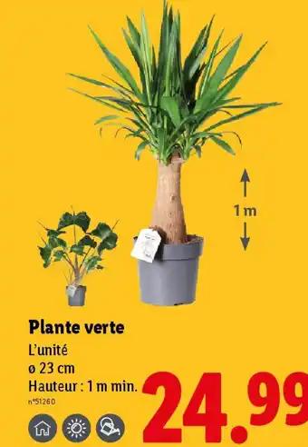 Promotion Exclusives de 13
Verte : Découvrez l'Offre incontournable