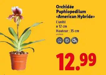 Promotion Exclusives de 9
Orchidée : Découvrez l'Offre incontournable
