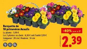 Promotion Exclusives de 1
Barquette : Découvrez l'Offre incontournable