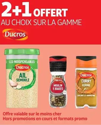 Promotion Exclusives de 1
Ducros : Découvrez l'Offre incontournable