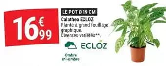 Promotion Exclusives de 10
Ecloz : Découvrez l'Offre incontournable