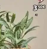 Promotion Exclusives de 3
Artificielle : Découvrez l'Offre incontournable