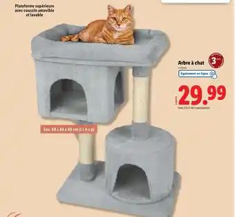 Promotion Exclusives de 9
Arbre À Chat : Découvrez l'Offre incontournable