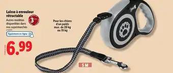 Promotion Exclusives de 4
Laisse : Découvrez l'Offre incontournable