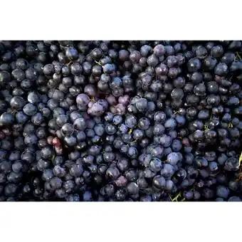 Promotion Exclusives de 6
Raisin : Découvrez l'Offre incontournable