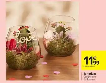 Promotion Exclusives de 2
Terrarium : Découvrez l'Offre incontournable