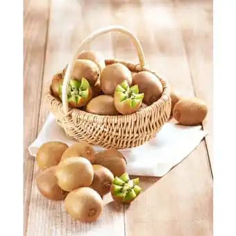 Promotion Exclusives de 64
Vert : Découvrez l'Offre incontournable