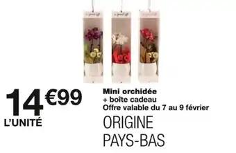 Promotion Exclusives de 13
Orchidée : Découvrez l'Offre incontournable