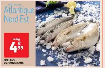 Promotion Exclusives de 17
Maquereaux : Découvrez l'Offre incontournable