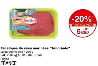 Promotion Exclusives de 10
Tendriade : Découvrez l'Offre incontournable