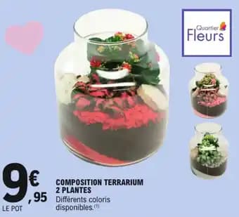 Promotion Exclusives de 1
Terrarium : Découvrez l'Offre incontournable
