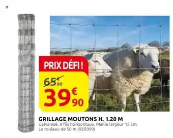 Grillage moutons h. 1.20 m
