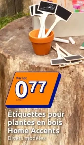 Promotion Exclusives de 16
Pour plantes : Découvrez l'Offre incontournable