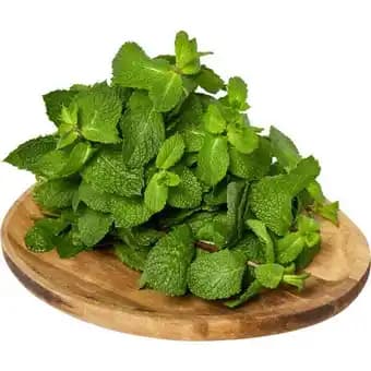 Promotion Exclusives de 17
Fraîche : Découvrez l'Offre incontournable