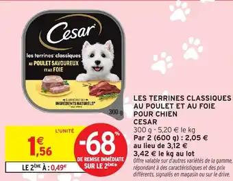 Promotion Exclusives de 27
Chien : Découvrez l'Offre incontournable