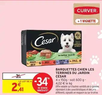 Promotion Exclusives de 46
Jardin : Découvrez l'Offre incontournable