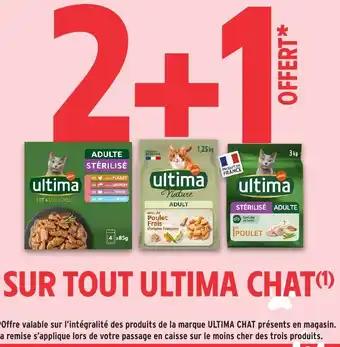 ULTIMA CHAT Sur tout