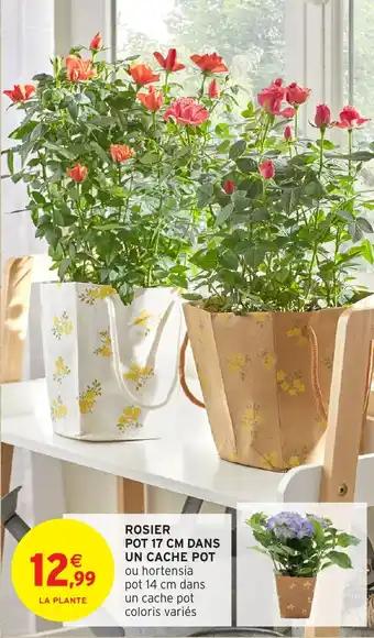 Promotion Exclusives de 58
Pot : Découvrez l'Offre incontournable