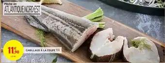 Promotion Exclusives de 21
Cabillaud : Découvrez l'Offre incontournable
